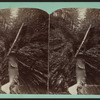 Cavenr gorge, Watkins Glen.
