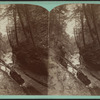 Grandeur gorge, Watkins Glen.