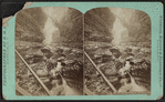 Artist's Dream, Watkins Glen.