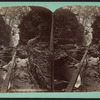 Elfin [Elphin] gorge, Watkins Glen.