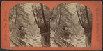 Cathedral gorge, back view, Watkins Glen.