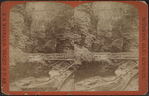 Matchless scene, Watkins Glen.