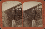 S.G. & C. Iron R.R. bridge over Watkins Glen.