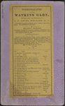 Stereographs of Watkins Glen.