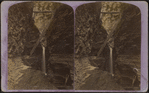 Stereographs of Watkins Glen.