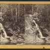 Thompson cascades. May 12, 1871.