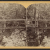 Rustic bridge, Glen Cathedral.