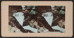 Minnehaha falls, Watkins Glen, N.Y.