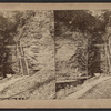 Entrance, Watkins Glen, N.Y.