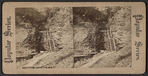 Entrance, Watkins Glen, N.Y.