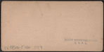 Artist's Dream, Watkins. On the line of the Erie railway.