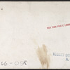 Stereoscopic views of Watkins Glen, New York