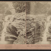Rainbow falls, Watkins Glen, New York, U.S.A.