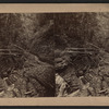 Watkins Glen. [View of a rustic bridge.]