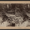 Watkins Glen. [View of a rustic bridge.]