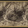 Artists' studies, Glen Alpha. Section no. 1.