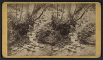 Artists' studies, Glen Alpha. Section no. 1.