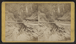 Whirpool gorge, Glen Obscura. Section no. 2.