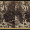 Mammoth gorge and grand staircase, Glen of the Pools. Section no. 4.