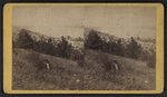 Watkins village and Seneca Lake.