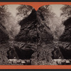 Still-water gorge, Watkins Glen, N.Y.