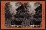 Still-water gorge, Watkins Glen, N.Y.