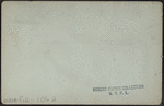 The Vista, Watkins Glen, N.Y.