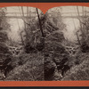 The Vista, Watkins Glen, N.Y.