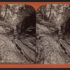 Sylvan gorge, from Cathedral bridge, Watkins Glen, N.Y.
