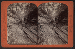 Sylvan gorge, from Cathedral bridge, Watkins Glen, N.Y.