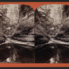 Emerald Pool, Watkins Glen, N.Y.