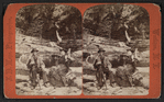 A couple relaxing on logs in Watkins Glen.