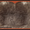 Entrance gorge, looking in, Watkins Glen.