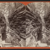 Caynon gorge, Watkins Glen.