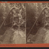 Narrow Pass, Watkins Glen, N.Y.