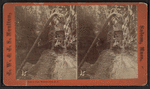 Narrow Pass, Watkins Glen, N.Y.