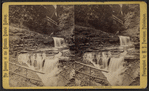 Glen Alpha.