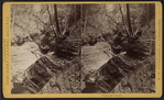 Glen Alpha.