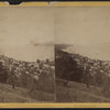 Watkins and Seneca Lake.