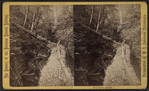 Shadow gorge.