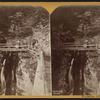 Sentinel bridge, Watkins Glen.