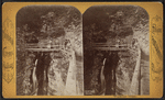 Sentinel bridge, Watkins Glen.