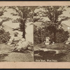 Crow Nest, West Point.