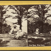 Crow Nest, West Point.