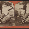 The trophies in the park, West Point, N. Y., Mexican mortars.