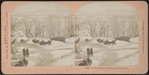 Prince Henry arriving at West Point.