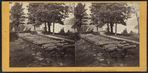 Captured Mexican mortars, West Point.