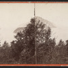 General view.