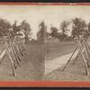 View of rifles displayed on the field. 