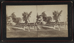 View of soldiers standing in rows.
